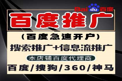 案例解析：专业SEM托管助力企业增长